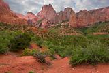 Red rocks of Zion
