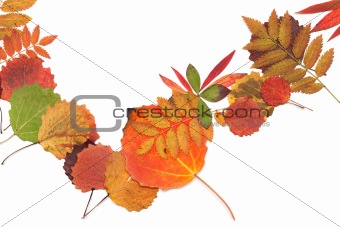 Autumn sheet strewn in heap