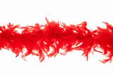 red feathers-boas