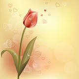 Pastel background with tulip