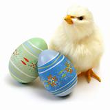 Easter Chick and Eggs