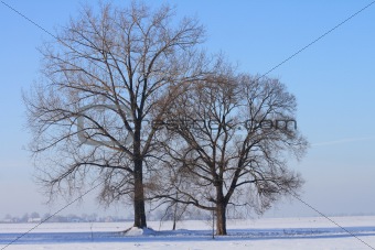 winter country 