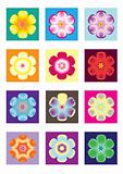 different color flower icon