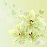 Pastel background with lilies