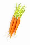 Fresh carrots isolated on the white