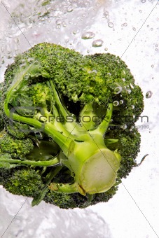 Green broccoli dropped into water