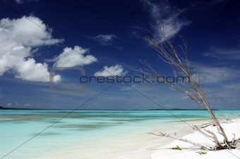 idyllic beach in New Caledonia