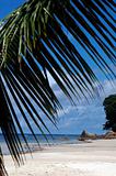 beach on Seychelles Island