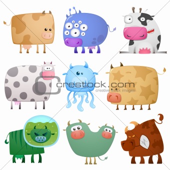 funny cows