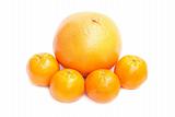 Grapefruit and mandarin isolated on white background
