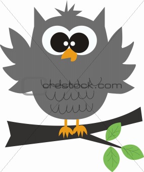 a cute grey owl