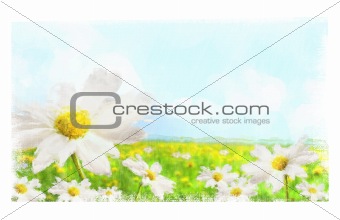 Digital watercolor of large shasta daisies in field