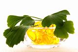 ginko biloba essential oil with fresh leaves - beauty treatment 