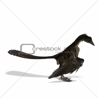 Dinosaur Archaeopteryx