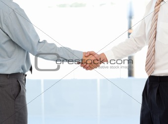 Close up of two businessmen concluding a deal by shaking their hands