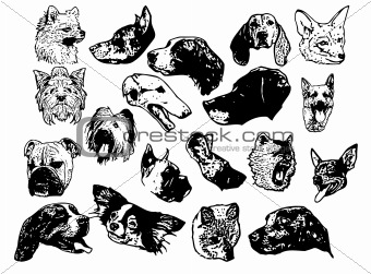 Set of dogs head. Vector Illustration