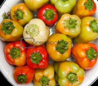 Bulgarian pepper
