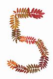 Numeral five 5 put from autumn sheet