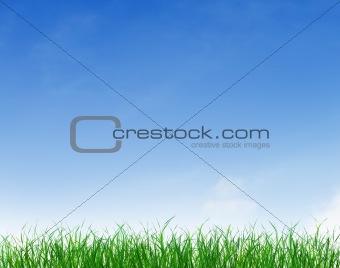Green Grass Under Blue Clear Sky
