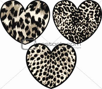 heart with animal skin