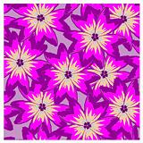 vector seamless background with violet poppies