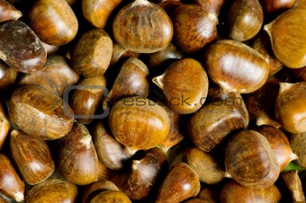 Many chestnuts arranged at the background