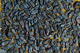 Background made of dark dried raisins