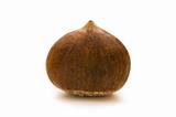 One chestnut isolated on the white background