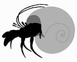 Hermit crab silhouette