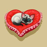 Kitty on red heart shaped pillow