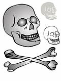 various skulls - vector