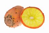 Genetic engineering - grapefruit inside opuntia