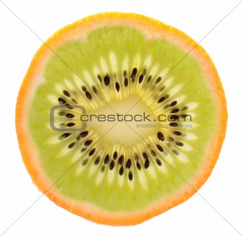 Genetic engineering - kiwi inside of an orange
