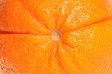 Orange in close-up