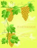 decorative grape illustration