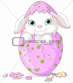 Easter Baby bunny hatched from one egg