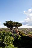Beautiful landscape in Gozo Island, Malta