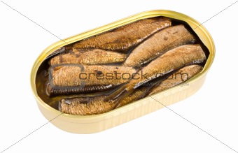 Sprat fish canned isolated