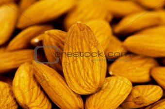 Fresh almonds arranged on the white background