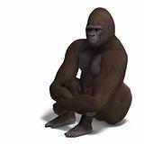 gorilla sitting anf waiting