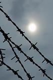 Barbed wire on a background of the sky and the sun