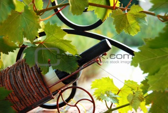 Wine bottle between vine leaves
