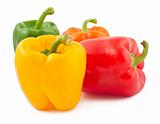 Four peppers on white background
