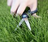 Cutting the grass with a pair of scissors