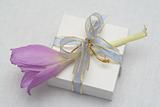 Gift with a flower on a white background