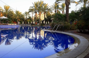 Palms and pool