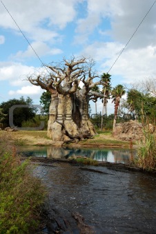Upside-down tree at Disney's Animal Kingdom