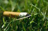 Cigarette butt in the grass