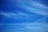 kite against blue sky