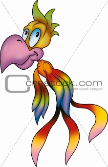 Rainbow flying parrot